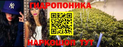 гашик Канаш