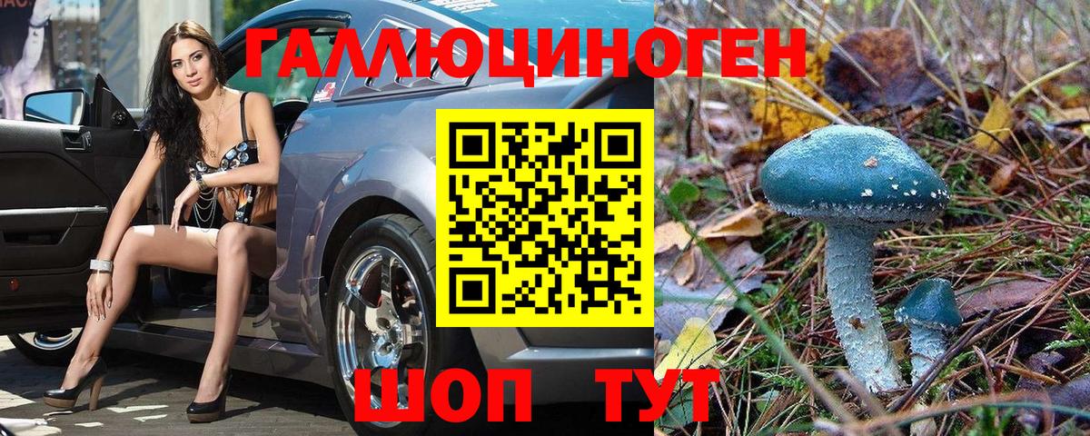 Псилоцибиновые грибы прущие грибы Аксай