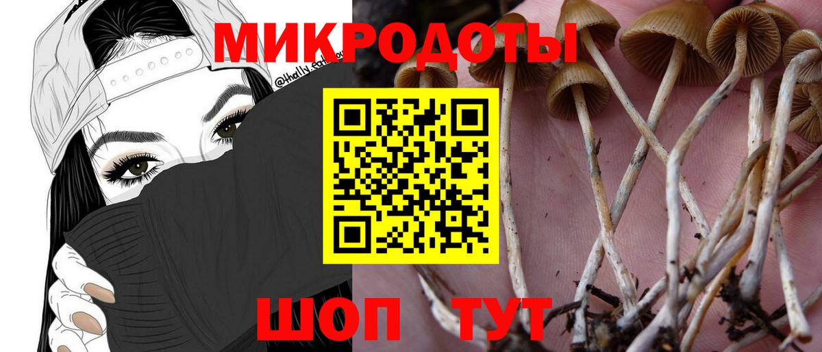 Аксай  Галлюциногенные грибы MAGIC MUSHROOMS  Вход с VPN  Псилоцибиновые грибы Psilocybe 